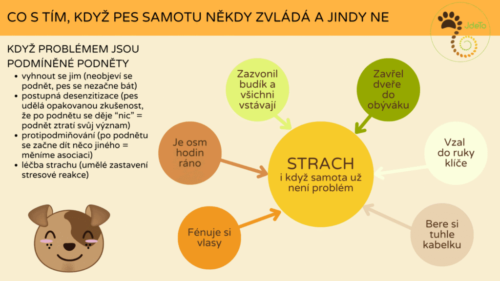 Zaškolení – Jak na psí samotu (5) Co dělat, když problémem jsou podmíněné podněty